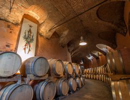 Immagine 3 di TERRE ALFIERI NEBBIOLO D.O.C.G. COSTA QUAGLIA ​​​​​​​MARCHESI ALFIERI VINI