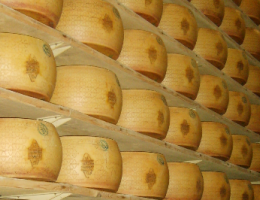 Immagine 1 di GRANA PADANO D.O.P. CASEIFICIO VINCENZO QUALGLIA