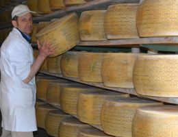 Immagine 3 di GRANA PADANO D.O.P. CASEIFICIO VINCENZO QUALGLIA