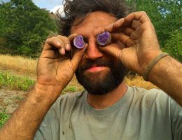 Immagine 5 di PATATE DI MONTAGNA RARE IN VALLE MAIRA  AGRI AL CHERSOGNO