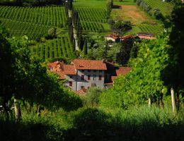 Immagine 1 di VALCALEPIO BIANCO D.O.C.