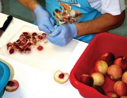 Immagine 4 di PESCHE SCIROPPATE DI MONATE AGRICOLA LE SELVE DI MONATE