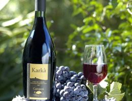 Immagine 1 di COLLI DEL LIMBARA I.G.T. KARKA