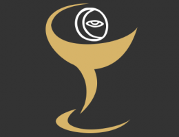 Immagine 2 di OLIO EXTRAVERGINE DI OLIVA CULTIVAR RACIOPPELLA CATEGORIA SUPERIORE