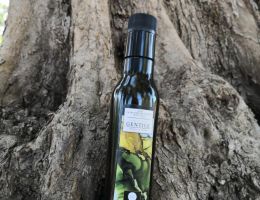 Immagine 2 di OLIO EXTRAVERGINE DI OLIVA CULTIVAR GENTILE DI LARINO DI QUALITA' SUPERIORE