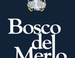Immagine 2 di SAUVIGNON BLANC D.O.C. LISON PRAMAGGIORE TURRANIO