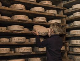 Immagine 2 di BETTELMATT ALPE TOGGIA - ALPE REGINA CASEIFICIO SCILLIGO GABRIELE