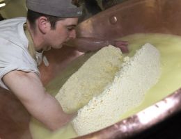 Immagine 4 di BETTELMATT ALPE TOGGIA - ALPE REGINA CASEIFICIO SCILLIGO GABRIELE