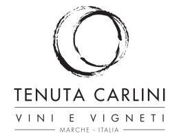 Immagine 2 di COLLI PESARESI BIANCO ALBANELLA D.O.C. PIANETA BIANCO