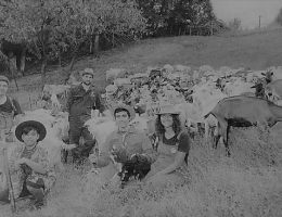 Immagine 3 di TRONCHETTO CAPRINO AFFINATO