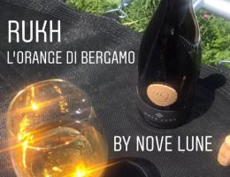 Immagine 1 di ORANGE WINW BIO DELLA BERGAMASCA I.G.T. RUKH NOVE LUNE