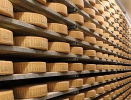 Immagine 4 di GARDA RISERVA CASEIFICIO ALPE DEL GARDA