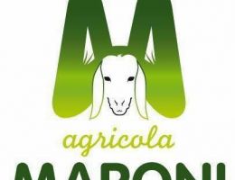 Immagine 3 di SLINZEGA AFFUMICATA  DI PECORA GIGANTE BERGAMASCA AGRI MARONI