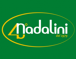 Immagine 2 di ZUCCA SUNSHINE MANTOVANA MASSIMA QUALITA' ORTOFRUTTA NADALINI