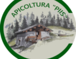 Immagine 2 di MIELE DI TIGLIO ALTA VALTELLINA APICOLTURA PIIS