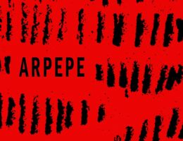 Immagine 2 di VALTELLINA SUPERIORE SASSELLA STELLA RETICA D.O.C.G. ARPEPE