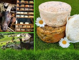 Immagine 1 di BLEU DI CAPRA AGRI LO COPAFEN