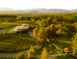 Immagine 2 di COSTE DELLA SESIA ERBALUCE D.O.C. NIVIS PIETRO CASSINA