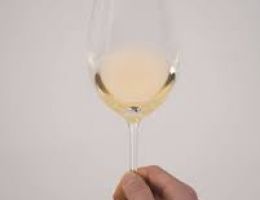 Immagine 4 di COSTE DELLA SESIA ERBALUCE D.O.C. NIVIS PIETRO CASSINA