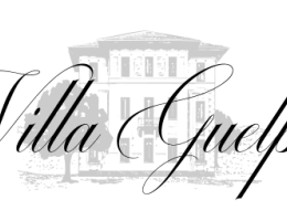 Immagine 2 di LESSONA D.O.C. VILLA GUELPA