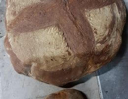 Immagine 4 di PANE DI LATERZA FORNERIE LAERTINE