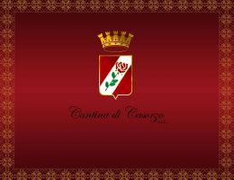 Immagine 1 di MALVASIA DI CASORZO D.O.C. PASSITO 286 CANTINA DI CASORZO