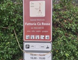 Immagine 4 di FORLI' BIANCO ALBANA GENTILE DI BERTINORO I.G.P. PLACIDIA NOBILE FATTORIA CA' ROSSA