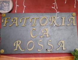 Immagine 5 di FORLI' SANGIOVESE I.G.P RIPAGRANDE FATTORIA CA'ROSSA