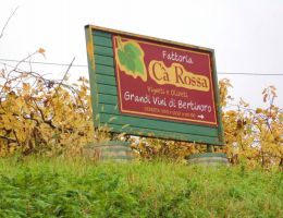 Immagine 4 di FORLI' ROSSO I.G.P. CESUBEO FATTORIA CA' ROSSA