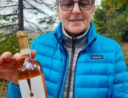 Immagine 1 di ALBANA DI ROMAGNA PASSITO D.O.C.G. BISSONI VINI