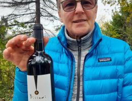 Immagine 1 di ROMAGNA D.O.C. SANGIOVESE RISERVA BISSONI VINI