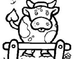 Immagine 2 di SILTER D.O.P. CASEIFICIO DELLANOCE TERESA