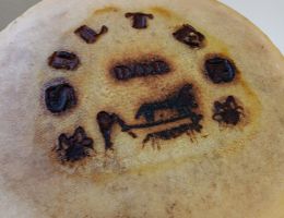 Immagine 4 di SILTER D.O.P. CASEIFICIO DELLANOCE TERESA