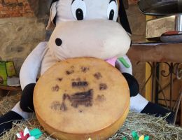 Immagine 3 di SILTER D.O.P. CASEIFICIO DELLANOCE TERESA