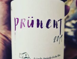 Immagine 1 di VALLI OSSOLANE NEBBIOLO D.O.C. SUPERIORE PRUNENT CANTINA CA' DA L'ERA