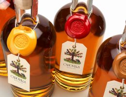 Immagine 2 di DISTILLATO DI VINO CAPOVILLA DISTILLATI