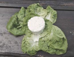 Immagine 1 di FORMAGGIO ZINCARLIN A LATTE CRUDO BIO CASALE ROCCOLO