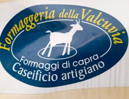 Immagine 3 di TOMA DI CAPRA VALCUVIA STAGIONATA IN GROTTA 30 MESI CASEIFICIO ARISTEO