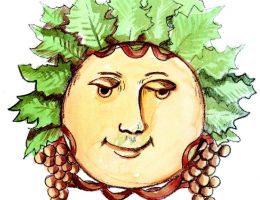 Immagine 2 di SPUMANTE METODO CLASSICO V.S.Q.P.R.D. GAVI D.O.C.G. DI GAVI MILLESIMATO IHABLE FONTANASSA VINI