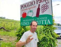 Immagine 3 di COLLINE TORTENSI BARBERA D.O.C. DERIO CANTINA PAOLO POGGIO