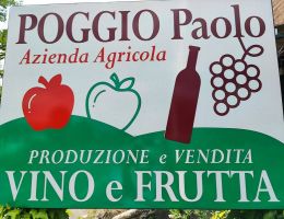 Immagine 4 di COLLINE TORTENSI CROATINA D.O.C. PROSONE CANTINA POGGIO PAOLO