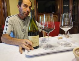 Immagine 1 di COLLINE TORTENSI CROATINA D.O.C. PROSONE CANTINA POGGIO PAOLO