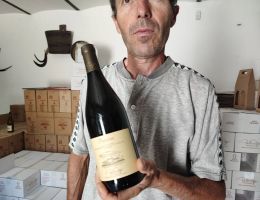 Immagine 5 di COLLINE TORTENSI CROATINA D.O.C. PROSONE CANTINA POGGIO PAOLO