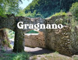 Immagine 2 di PANE AL LIEVITO MADRE CEREALI PANIFICIO MALAFRONTE DI GRAGNANO