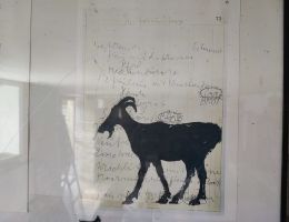 Immagine 5 di BARBERA D'ASTI D.O.C.G. MON ROSS FORTETO DELLA LUJA