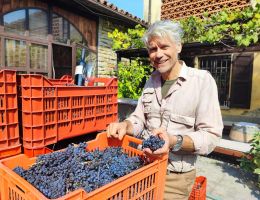 Immagine 3 di BARBERA D'ASTI D.O.C.G. MON ROSS FORTETO DELLA LUJA