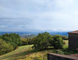 Immagine 5 di LOAZZOLO D.O.C. MOSCATO BIANCO PASSITO PIASA RISCHEI FORTETO DELLA LUJA