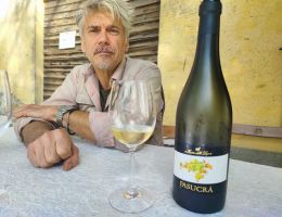 Immagine 1 di PIEMONTE MOSCATO SECCO D.O.C. PASUCRA' FORTETO DELLA LUJA