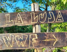 Immagine 3 di PIEMONTE MOSCATO SECCO D.O.C. PASUCRA' FORTETO DELLA LUJA