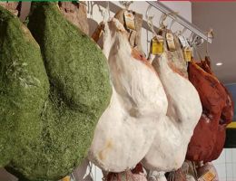 Immagine 1 di PROSCIUTTO SGAMBATO CRUDO STAGIONATO FATTORIA DI RIMAGGIO